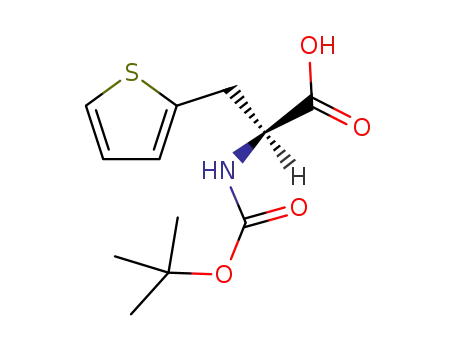 Molecular Structure of 56675-37-7 (Boc-3-(2-thienyl)-L-alanine)