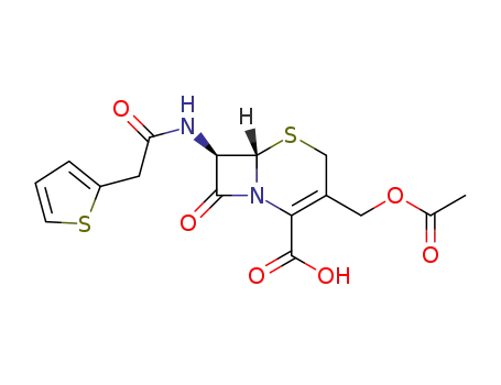 cephalothin