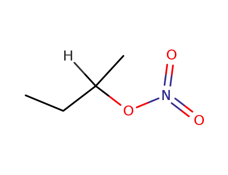 Molecular Structure of 924-52-7 (sec-butylnitrate)