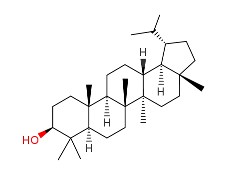 Dihydrolupeol