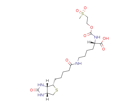 (S)-2-(2-Methanesulfonyl-ethoxycarbonylamino)-6-[5-((3aR,6S,6aS)-2-oxo-hexahydro-thieno[3,4-d]imidazol-6-yl)-pentanoylamino]-hexanoic acid