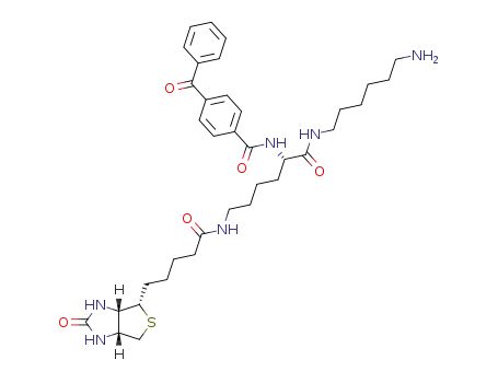 N-{(S)-1-(6-Amino-hexylcarbamoyl)-5-[5-((3aR,6S,6aS)-2-oxo-hexahydro-thieno[3,4-d]imidazol-6-yl)-pentanoylamino]-pentyl}-4-benzoyl-benzamide
