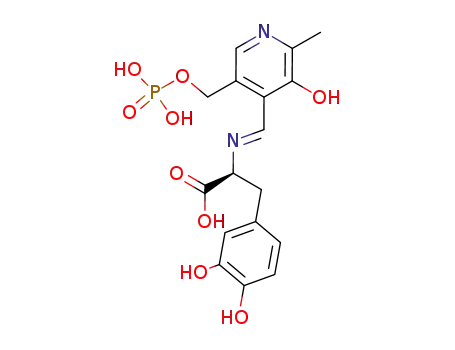 (S)-3-(3,4-Dihydroxy-phenyl)-2-{[1-(3-hydroxy-2-methyl-5-phosphonooxymethyl-pyridin-4-yl)-meth-(E)-ylidene]-amino}-propionic acid