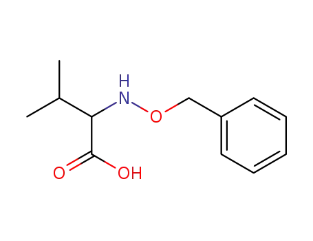 2-(benzyloxyamino)-3-methylbutanoic acid