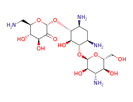 2'-oxokanamycin