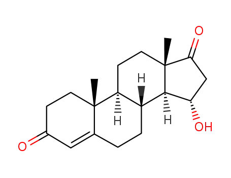 Molecular Structure of 566-08-5 (5α-Hydroxyandrostenedione)