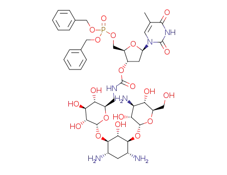 5'-O-(dibenzylphosphate)-3'-O-(kanamycin A carbamate)thymidine