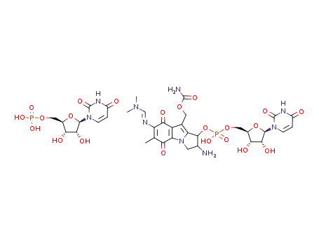 2-amino-7-(dimethylamidino)mitosene 1-uridylate uridylic acid