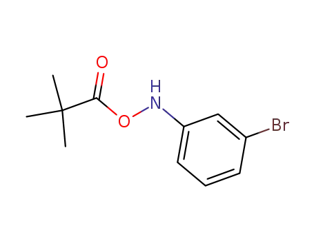 Molecular Structure of 107986-35-6 (1-{[(3-bromophenyl)amino]oxy}-2,2-dimethylpropan-1-one)