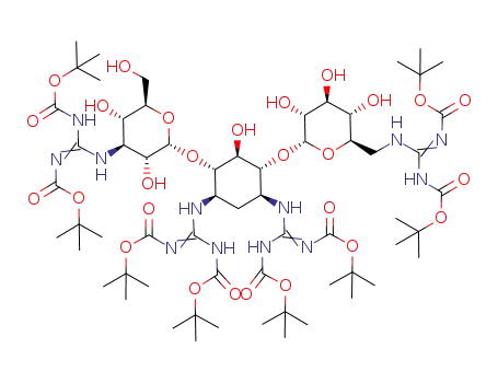 guanidinoboc8-kanamycin