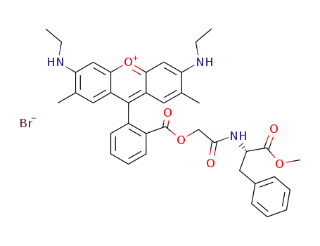 rhodamine 19 (L-methyl-phenylalaninyl)-carbonylmethyl ester bromide