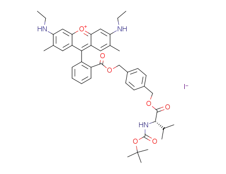 rhodamine 19 4-(N-t-butoxycarbonyl-L-valinyl-oxymethyl)-1-phenylmethyl ester iodide