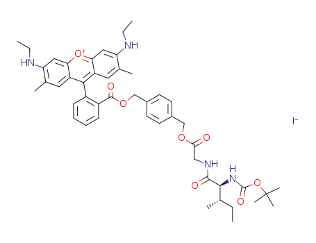 rhodamine 19 4-(N-t-butoxycarbonyl-L-isoleucinyl-glycinyl-oxymethyl)-1-phenylmethyl ester iodide