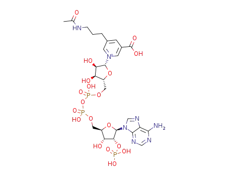 1-[(2R,3R,4S,5R)-5-[[[[(2R,3R,4R,5R)-5-(6-aminopurin-9-yl)-3-hydroxy-4-phosphonooxyoxolan-2-yl]methoxyhydroxyphosphoryl]oxyhydroxyphosphoryl]oxymethyl]-3,4-dihydroxyoxolan-2-yl]pyridin-1-ium-5-(3-acetamidopropyl)-3-carboxylic acid