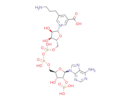 1-[(2R,3R,4S,5R)-5-[[[[(2R,3R,4R,5R)-5-(6-aminopurin-9-yl)-3-hydroxy-4-phosphonooxyoxolan-2-yl]methoxyhydroxyphosphoryl]oxy-hydroxyphosphoryl]oxymethyl]-3,4-dihydroxyoxolan-2-yl]pyridin-1-ium-5-(3-aminopropyl)-3-carboxylic acid