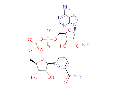 sodium β-nicotinamide adenine dinucleotide phosphate