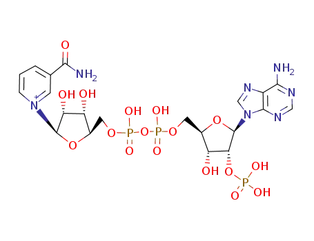 nicotinamide adenine dinucleotide phosphate