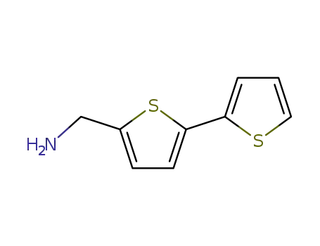 1-(2,2'-Bithiophen-5-yl)methanamine
