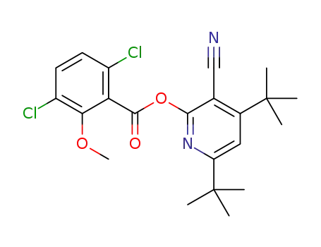 3-cyano-4,6-di-t-butyl-2-pyridone dicamba ester