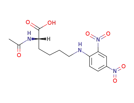 Molecular Structure of 22619-87-0 (N(2)-acetyl-N(6)-(2,4-dinitrophenyl)lysine)