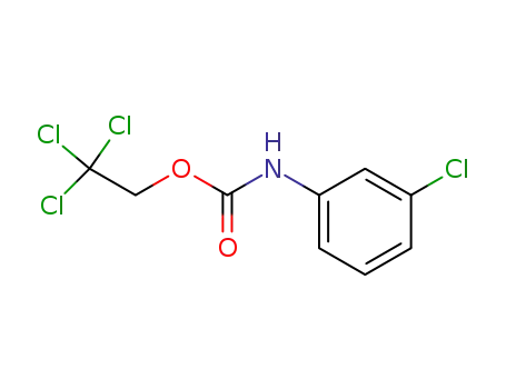 2,2,2-trichloroethyl N-(m-chlorophenyl)carbamate