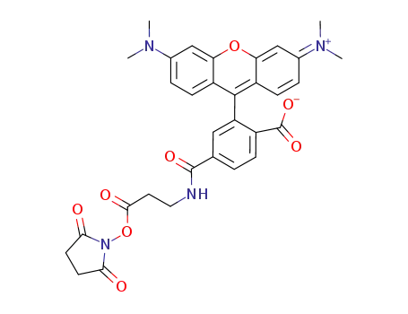 6-tetramethylrhodamine-(N-hydroxysuccinimidyl-β-alanine)-amide
