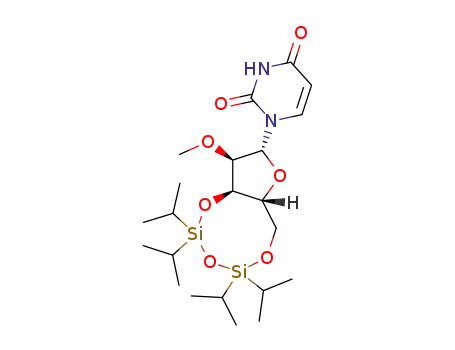 3',5'-O-(1,1,3,3-tetraisopropyl-1,3-disilyl)-2'-O-methyluridine