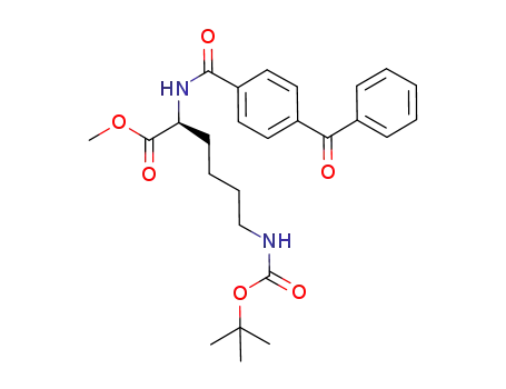 (S)-6-tert-butoxycarbonyl-2-(4-benzoylbenzoylamino)hexanoic acid methyl ester