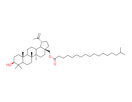 betulin 28-O-isostearylic acid