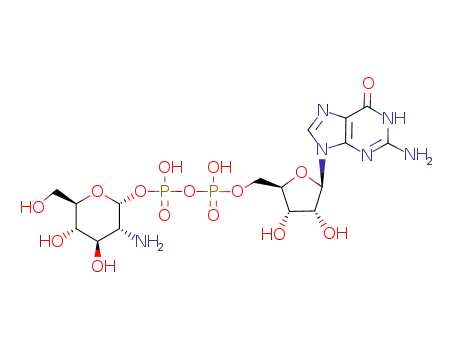 guanosine-5’-diphospho-2′′-amino-α-D-glucopyranosyl