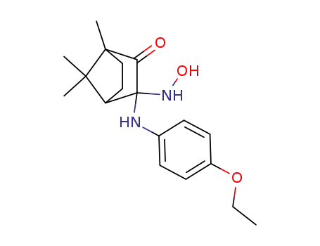 3-(4-ethoxy-anilino)-3-hydroxylamino-camphor