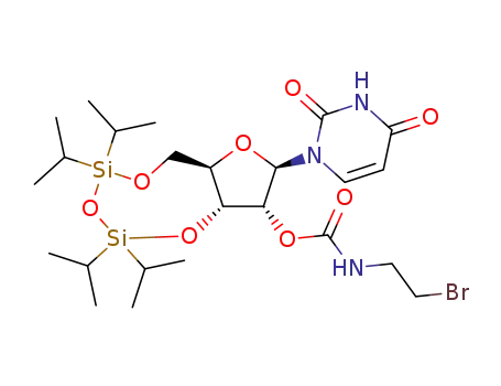 2′-O-[N-(2-bromoethylcarbamoyl)]-3′,5′-O-(1,1,3,3-tetraisopropyldisiloxane-1,3-diyl)uridine