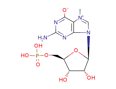7-methylguanosine monophosphate