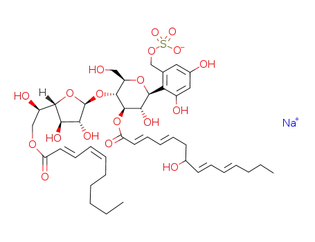 lecythophorin