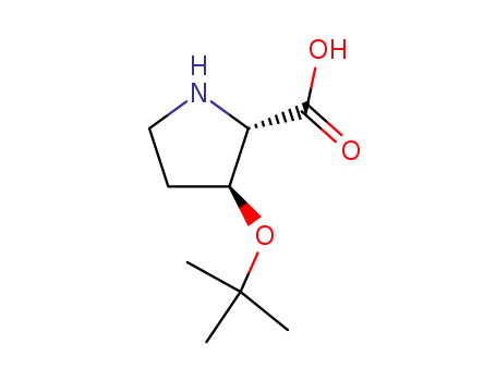 trans-3-tert-butoxy-L-proline