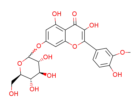 Quercetin-7-O-monoglucoside