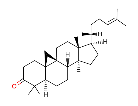 Molecular Structure of 511-63-7 (Cycloartenone)