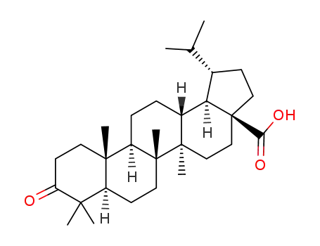 3-oxolupan-28-ic acid