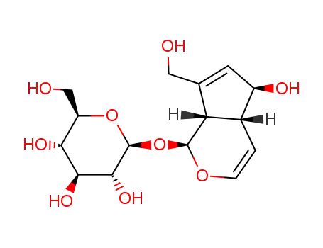 Molecular Structure of 479-98-1 (Aucubin)