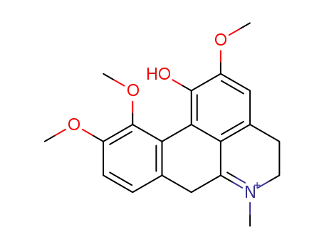 dehydrocorydine