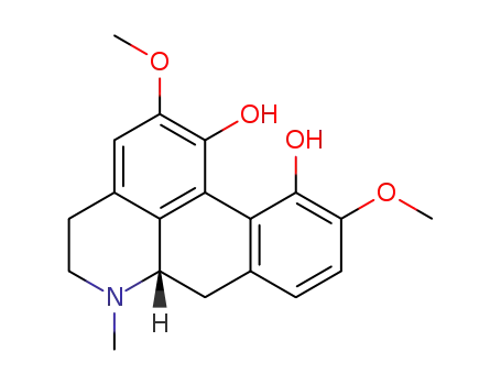 corytuberine