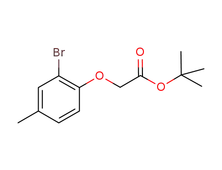 Molecular Structure of 1240286-85-4 (tert-butyl 2-(2-bromo-4-methylphenoxy)acetate)