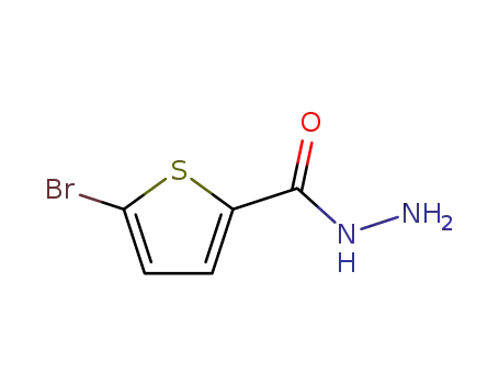 5-Bromothiophene-2-carbohydrazide cas  98027-27-1