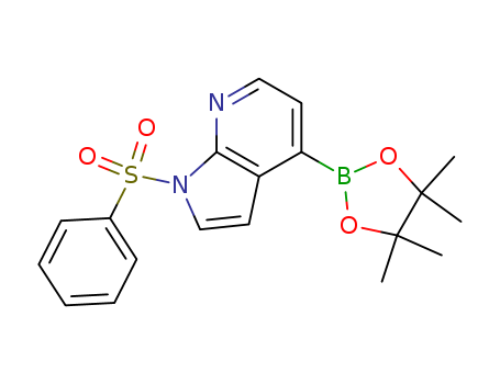 1-(benzenesulfonyl)-4-(tetramethyl-1,3,2-dioxaborolan-2-yl)-1H-pyrrolo[2,3-b]pyridine