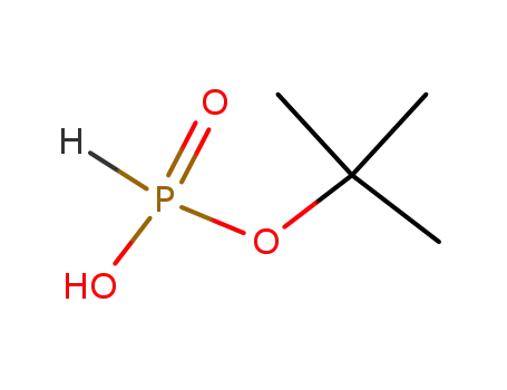 Molecular Structure of 16540-40-2 (Phosphonic acid, mono(1,1-dimethylethyl) ester)