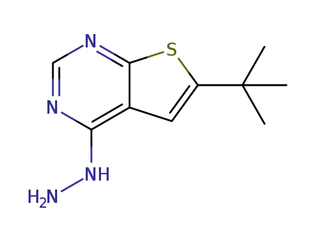 6-(tert-butyl)-4-hydrazinothieno[2,3-d]pyrimidine