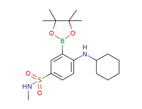 4-(cyclohexylamino)-N-methyl-3-(4,4,5,5-tetramethyl-1,3,2-dioxaborolan-2-yl)benzenesulfonamide