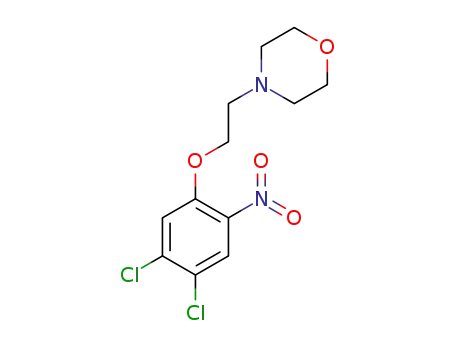 4-[2-(4,5-dichloro-2-nitrophenoxy)ethyl]morpholine