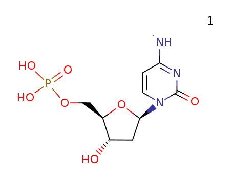 2'-dC-5'-MP deprotonated radical cation