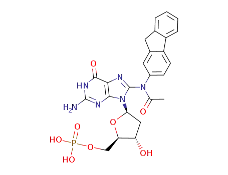 Phosphoric acid mono-((2R,3S,5R)-5-{8-[acetyl-(9H-fluoren-2-yl)-amino]-2-amino-6-oxo-1,6-dihydro-purin-9-yl}-3-hydroxy-tetrahydro-furan-2-ylmethyl) ester